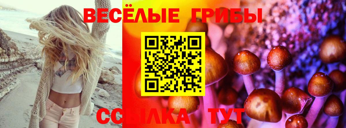 Псилоцибиновые грибы ЛСД  Вход с VPN  что такое наркотик  Менделеевск 