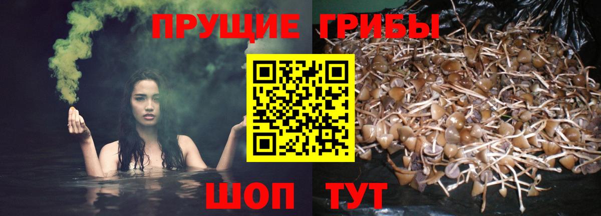 Псилоцибиновые грибы Magic Shrooms Менделеевск